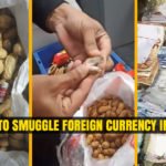 Attempt to Smuggle Foreign Currency in Peanuts