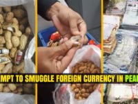 Attempt to Smuggle Foreign Currency in Peanuts