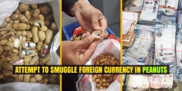 Attempt to Smuggle Foreign Currency in Peanuts