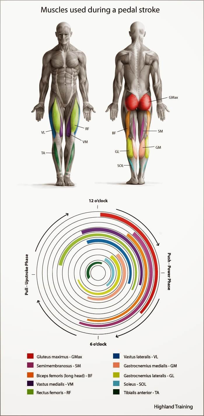 Benefits of Cycling